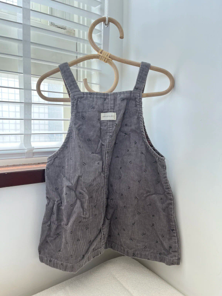 Zara 吊帶裙 image 1 of 0