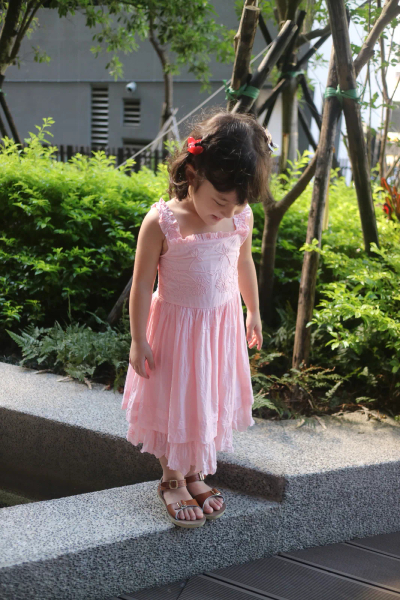 New Mademoiselle Dress -Light pink 4Y image 1 of 0