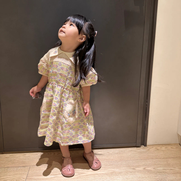 Nellie Dress - Solva  image 1 of 0