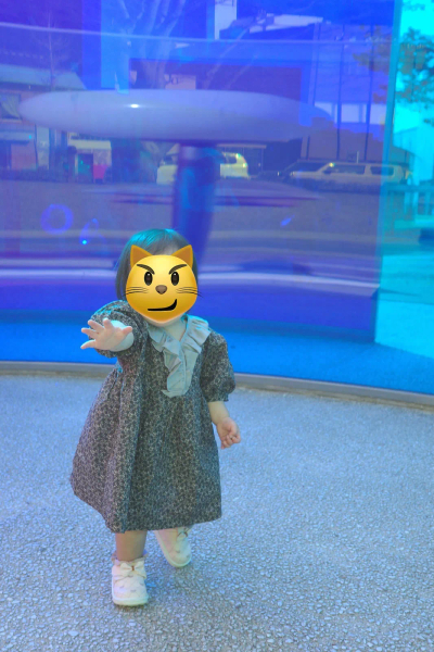 洋裝 image 1 of 0