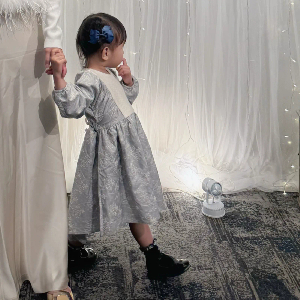 Denim-effect embroidered dress with yoke image 1 of 0