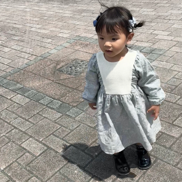 Denim-effect embroidered dress with yoke image 1 of 0