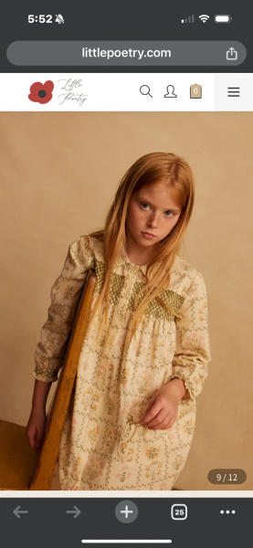 Apolina Aline Smock Shirtdress 兩穿襯衫洋裝 image 1 of 0