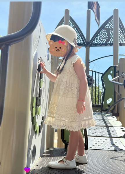 蕾絲雕花洋裝 image 1 of 0