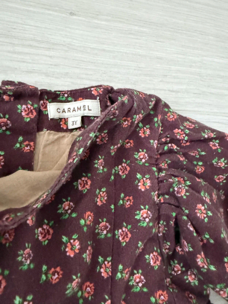 Celeste dress - chocolate floral image 1 of 0