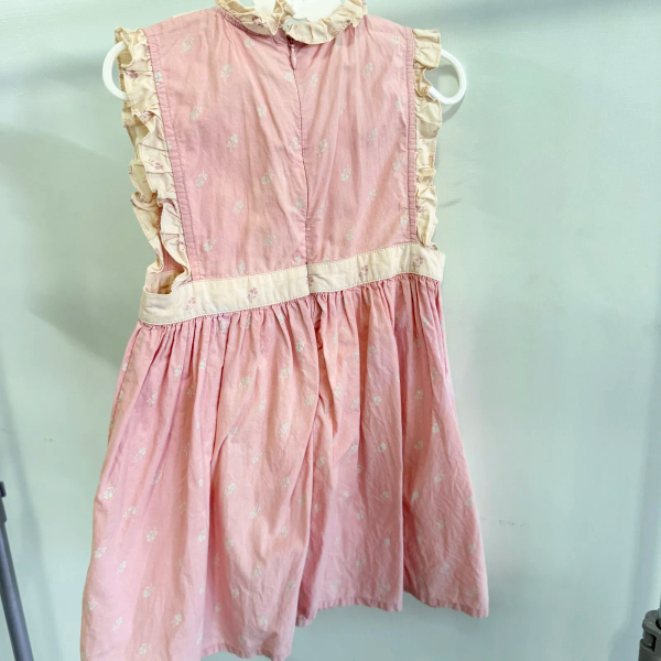 粉色Apolina 洋裝 image 1 of 0