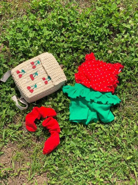 韓國Bailey西瓜裝 🍉 image 1 of 0