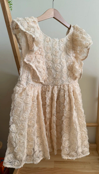 Ally Strauss Tulle Dress image 1 of 0