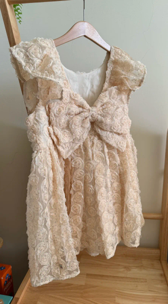 Ally Strauss Tulle Dress image 1 of 0