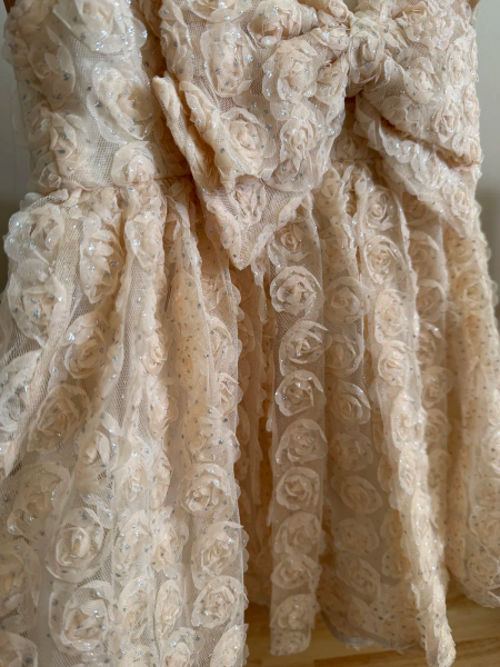 Ally Strauss Tulle Dress image 1 of 0