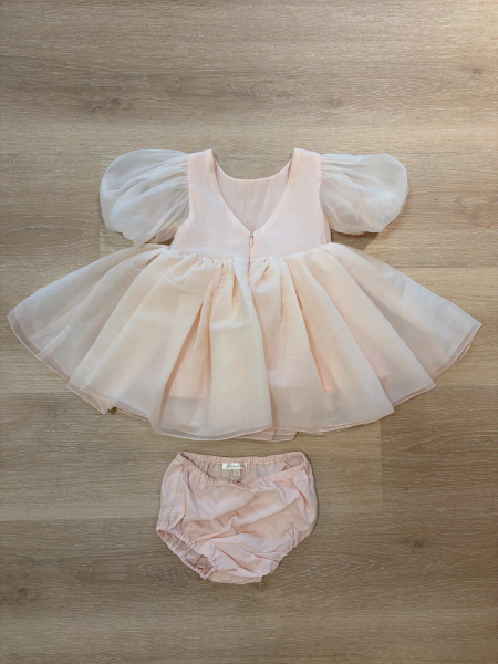 Sofia Dress - Blush image 1 of 0
