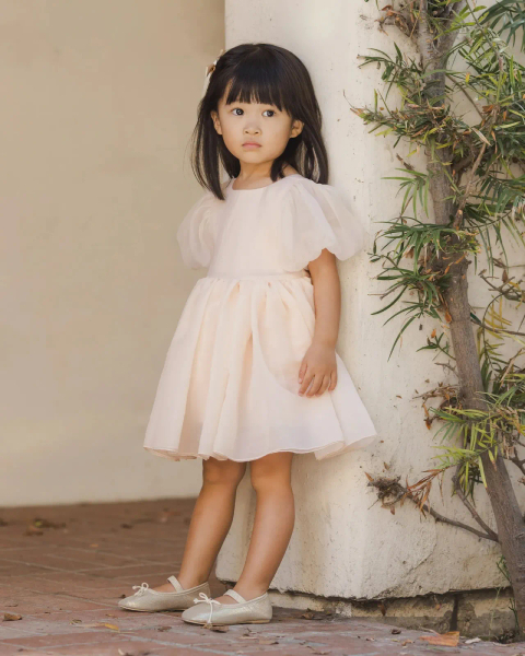 Sofia Dress - Blush image 1 of 0