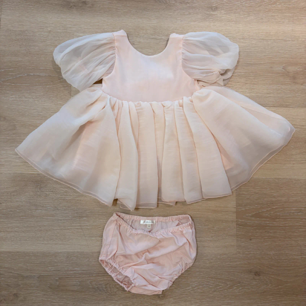 Sofia Dress - Blush image 1 of 0