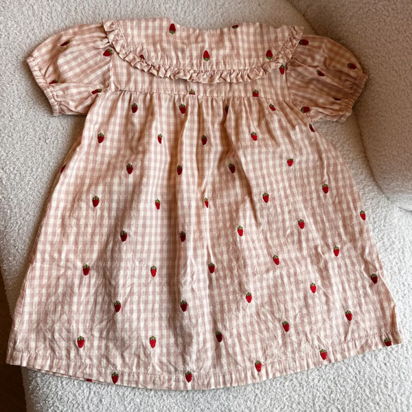 Dolly SS Dress Pink Berry Gingham image 1 of 0