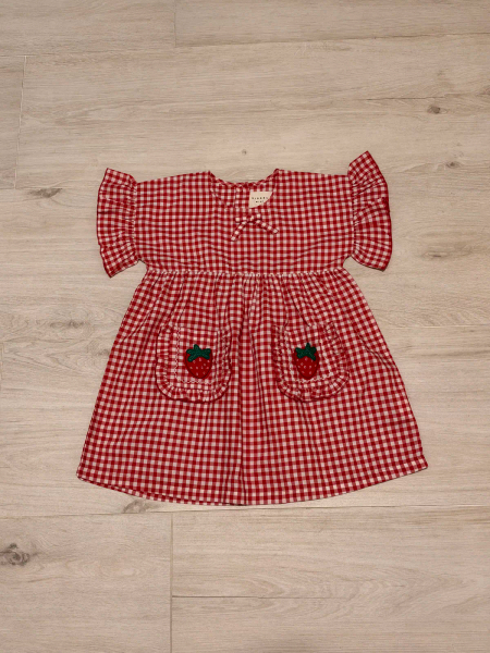 Ohio MINI Dress Red Checks image 1 of 0