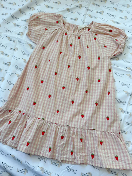 草莓刺繡格紋洋裝 image 1 of 0