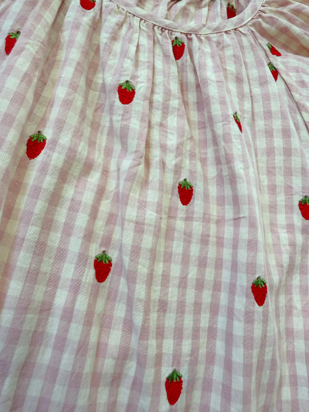 草莓刺繡格紋洋裝 image 1 of 0