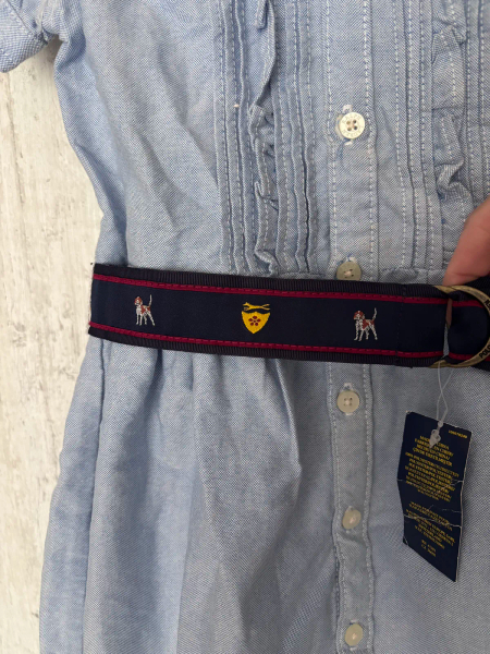 淺藍色荷葉邊飾襯衫連身裙+刺繡腰帶 image 1 of 0