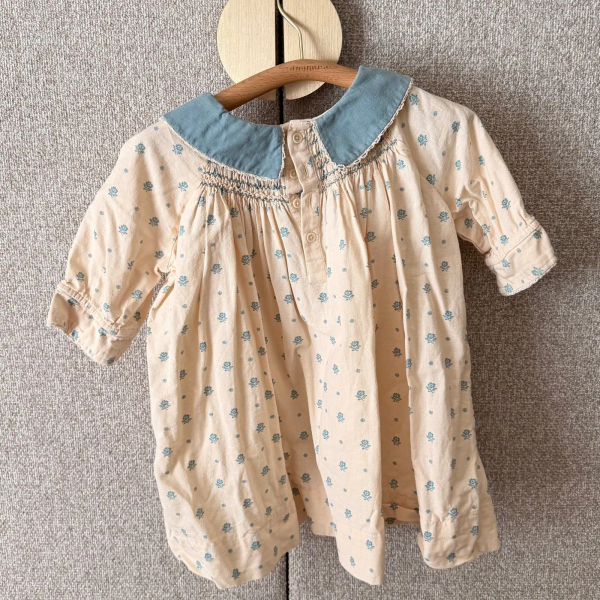 Apolina Willow Smock Shift Dress image 1 of 0